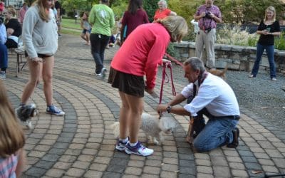 Lining Up with the Dogs at the Blessing of the Pets