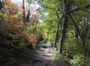 What If the World Goes to Hell? A Semi-Comforting Message from Somewhere Near Mount Pisgah