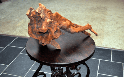 A Stump, Some Bullies, and CPR for Hope