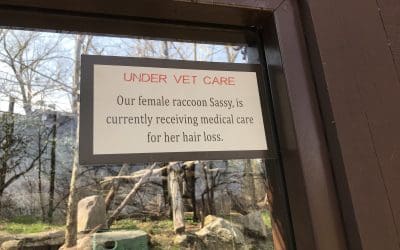 In Solidarity with Sassy: Revealing Our Truth