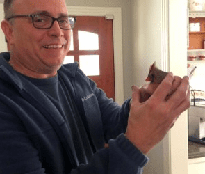 A Bird in the Hand: The Rest of the Story