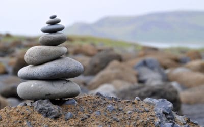 “Why Would a Girl Dog Do That to a Pillow?”- and Other Thoughts During My Meditation Fail