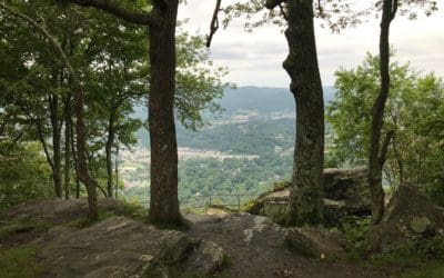 The Little Wise Person I Met on Vacation